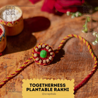 Plantable Seed Rakhi Family Box | Pair of 2 Rakhi | Verified Sustainable by Brown Living™