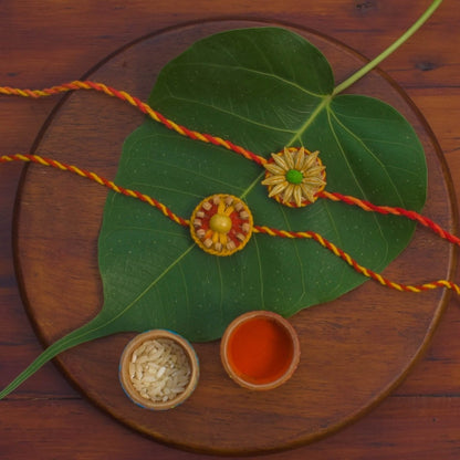 Plantable Seed Rakhi Gift Box | Pair of 2 Rakhi | Verified Sustainable by Brown Living™