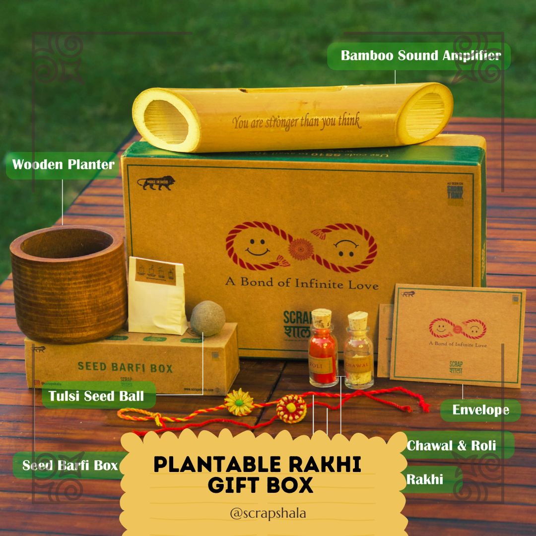 Plantable Seed Rakhi Gift Box | Pair of 2 Rakhi | Verified Sustainable by Brown Living™