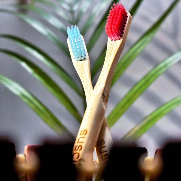 Buy Premium Bamboo PHOENIX Toothbrush Set of 2 | Shop Verified Sustainable Products on Brown Living