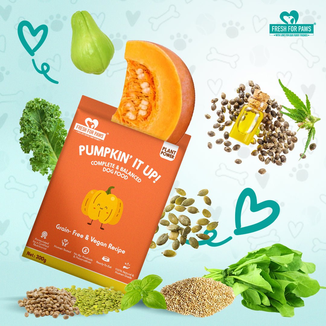 Pumpkin It Up | 100 gram pack of 3 | Verified Sustainable by Brown Living™