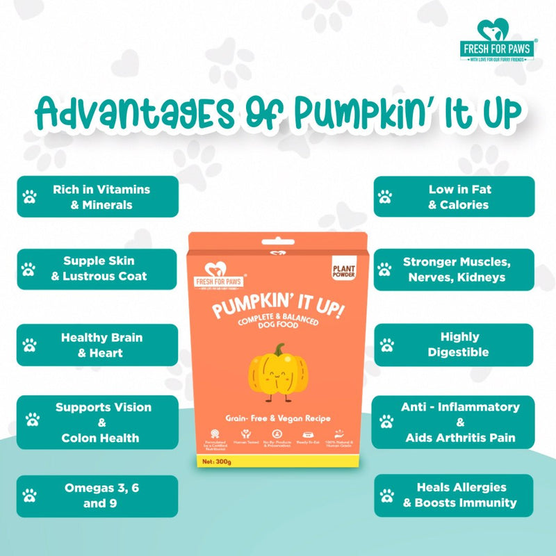 Buy Pumpkin It Up | 100 gram pack of 3 | Shop Verified Sustainable Products on Brown Living