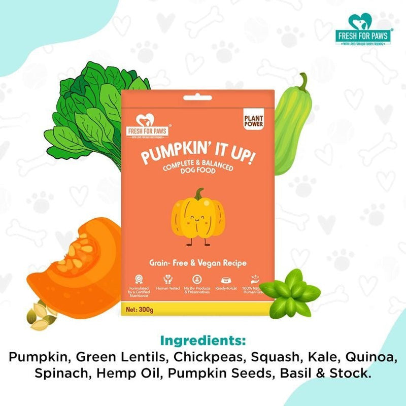 Buy Pumpkin It Up | 100 gram pack of 3 | Shop Verified Sustainable Pet Food on Brown Living™