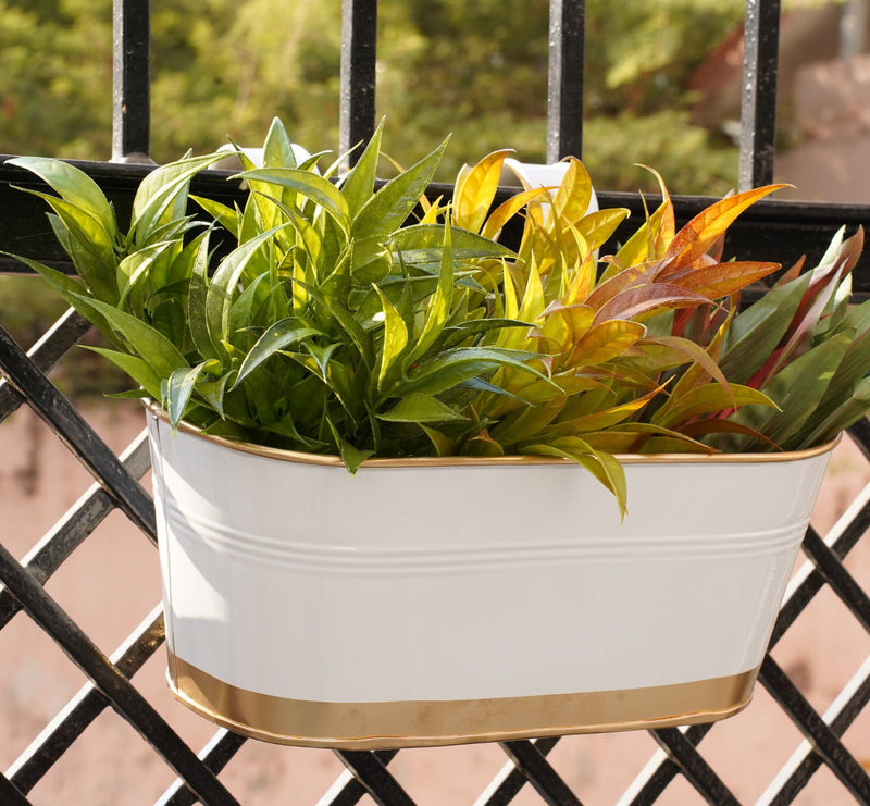 Railing Planters for Balcony(Oval White Pack 4) | Verified Sustainable Pots & Planters on Brown Living™