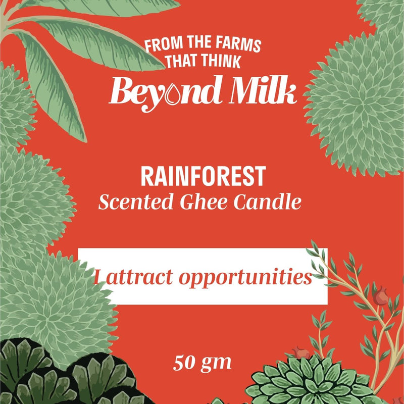 Buy Rainforest Scented Ghee Candle | 8 hours Burning time | A2 Ghee + Soy wax | Shop Verified Sustainable Products on Brown Living