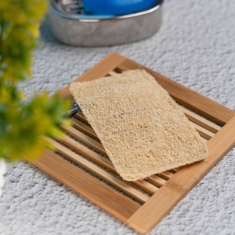 Buy Rectangular Loofah pack of 2 | Shop Verified Sustainable Products on Brown Living