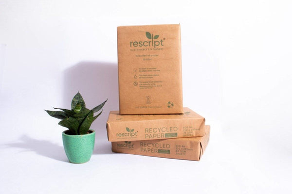 Buy Recycled Copier Paper - Pack of 3 | 75 GSM | A4 size | 500 sheets | Shop Verified Sustainable Printer & Copier Paper on Brown Living™