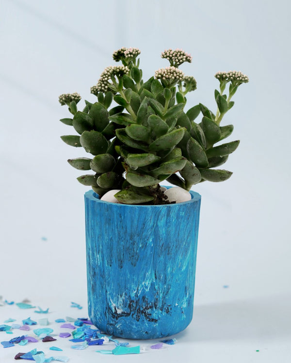 Recycled Eco-Pots- Ocean Blue | Verified Sustainable Decorative Pots on Brown Living™