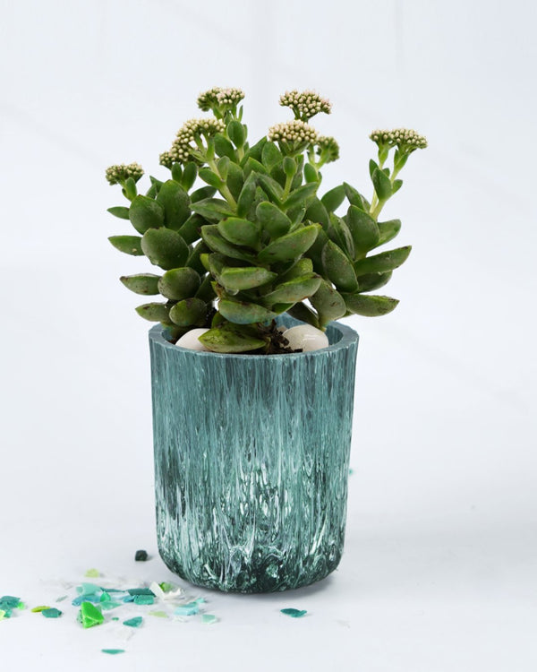 Recycled Eco-Pots- Sage Green | Verified Sustainable Decorative Pots on Brown Living™