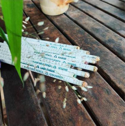 Recycled News Paper Plantable Seed Colour Pencils - Pack of 10 | Verified Sustainable by Brown Living™