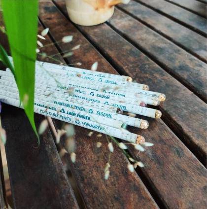 Recycled News Paper Plantable Seed Colour Pencils - Pack of 10 | Verified Sustainable by Brown Living™