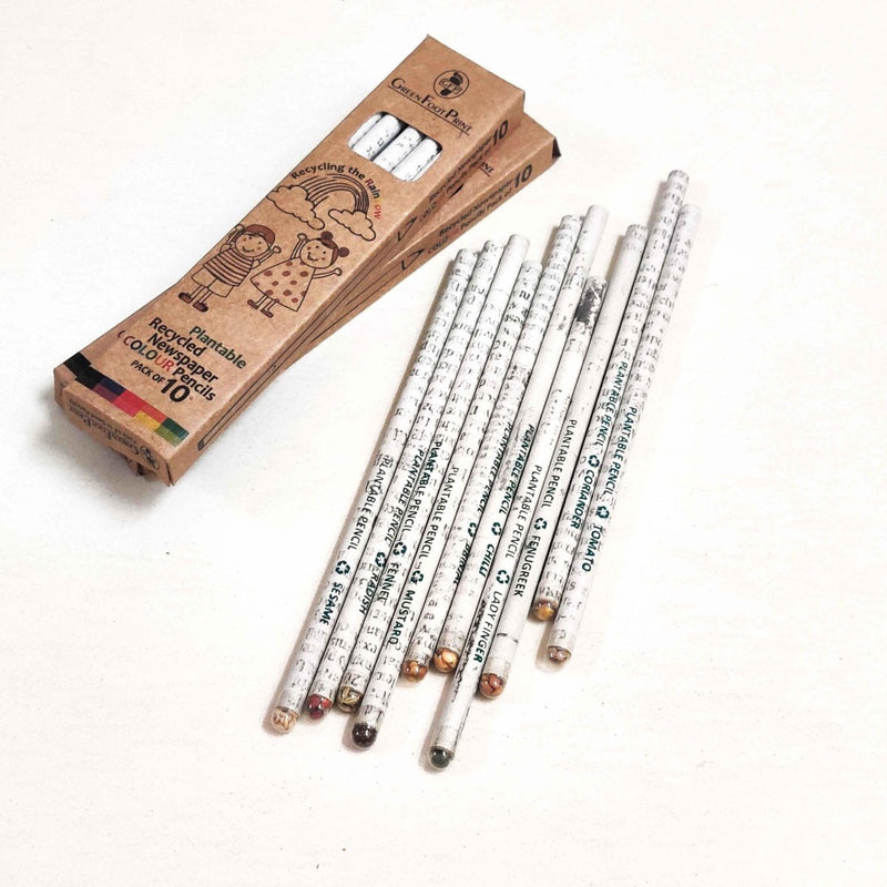 Buy Recycled News Paper Plantable Seed Colour Pencils - Pack of 10 | Shop Verified Sustainable Pencils on Brown Living™