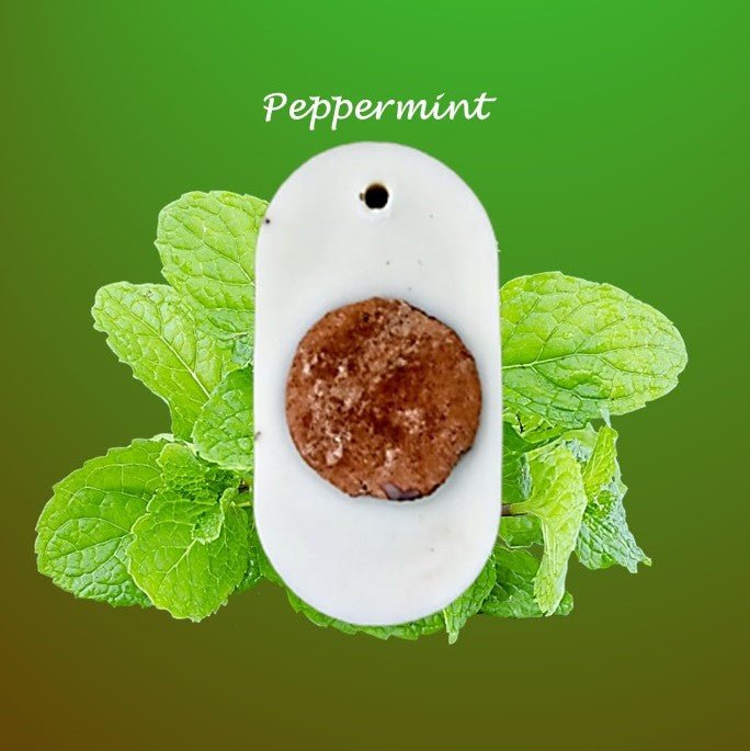 Buy Reusable Soy Wax Air freshener-Peppermint Oil- Pack of 1 | Shop Verified Sustainable Products on Brown Living