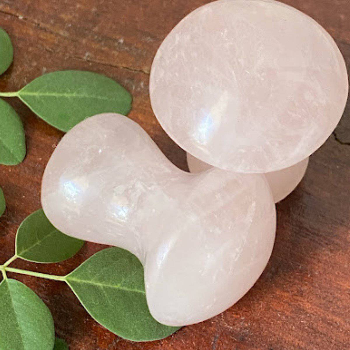 Rose Quartz Mushroom Gua Sha | Verified Sustainable by Brown Living™