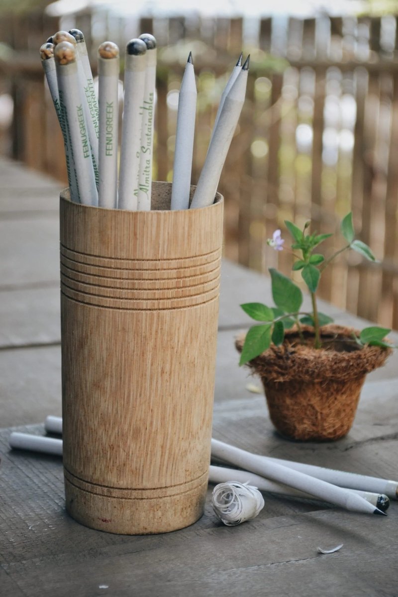 Seed Pencils – (Pack of 10) | Verified Sustainable by Brown Living™