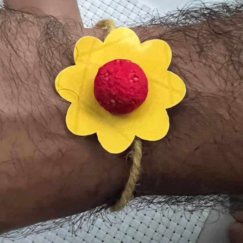 Buy Seed Rakhi with GIY Kit | Shop Verified Sustainable Products on Brown Living