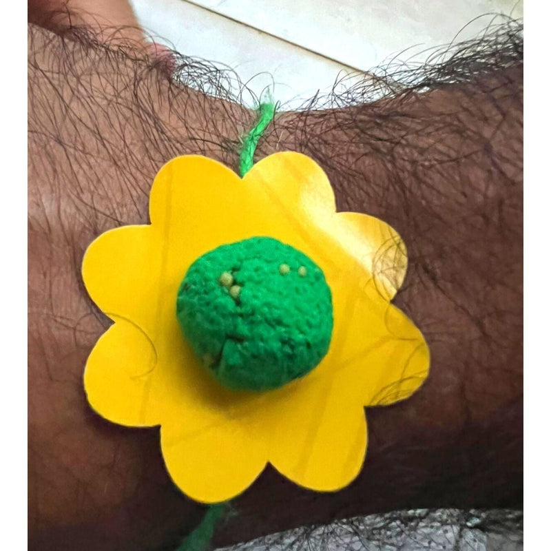 Buy Seed Rakhi with Seed Stationary & Pot | Shop Verified Sustainable Products on Brown Living