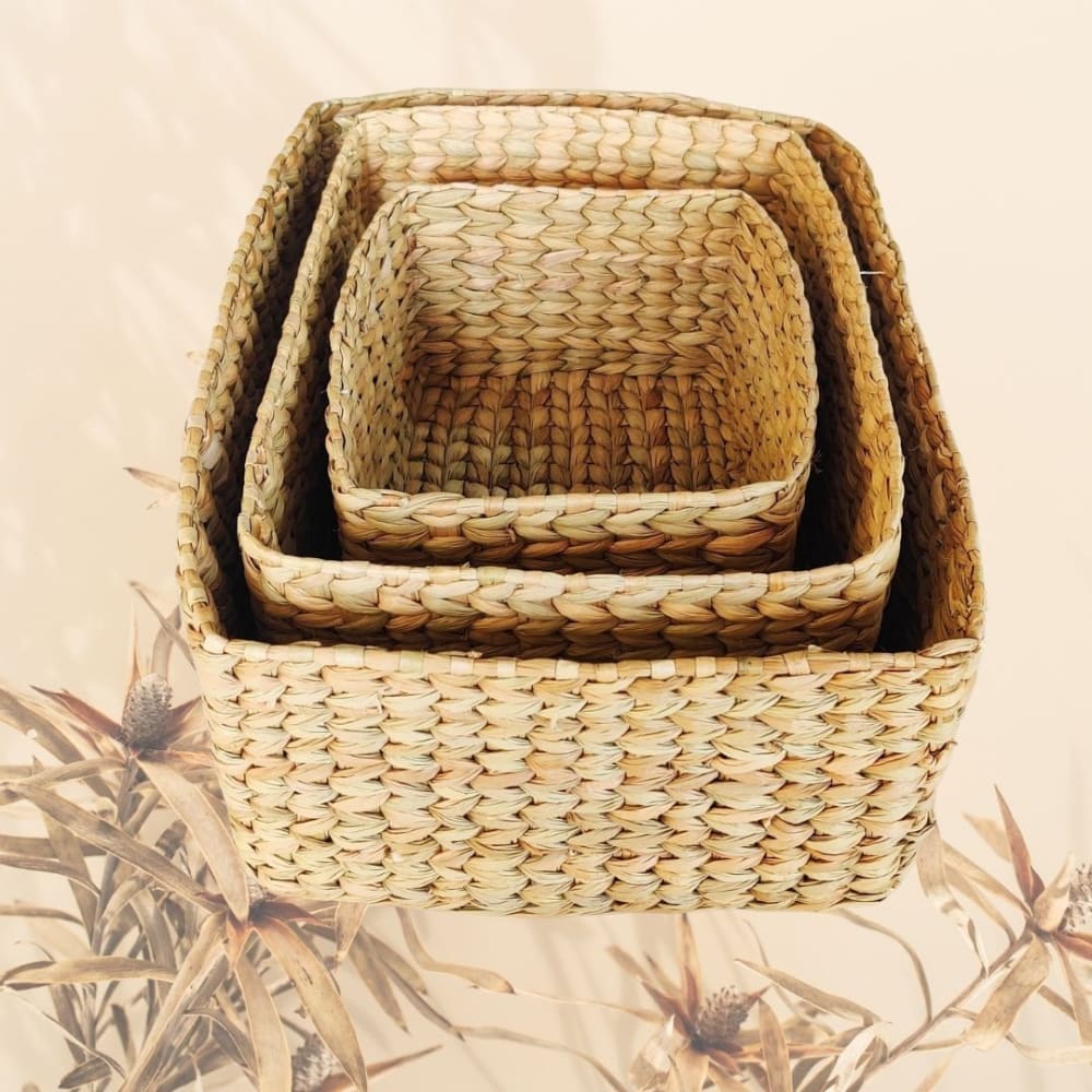 Set of 3 baskets - Water Reed (Kauna Grass) | Verified Sustainable by Brown Living™