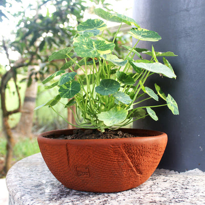 Shallow Jute Textured Terracotta Planter - Set of 2 – Pots & Planters on Brown Living™. SKU: PLT - SLW/J2. Img 1.