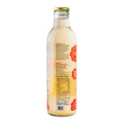 Kombucha - Sparkling Fermented Tea | Phool - on Power | Box of 3 (250ml x 3) | Verified Sustainable by Brown Living™