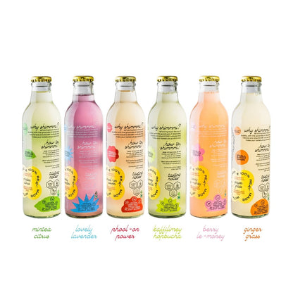 Kombucha - Sparkling Fermented Tea | Try - me - all Box | Box of 6 (250ml x 6) | Verified Sustainable by Brown Living™