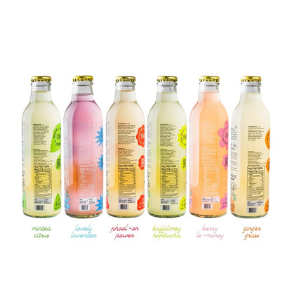 Kombucha - Sparkling Fermented Tea | Try - me - all Box | Box of 6 (250ml x 6) | Verified Sustainable by Brown Living™