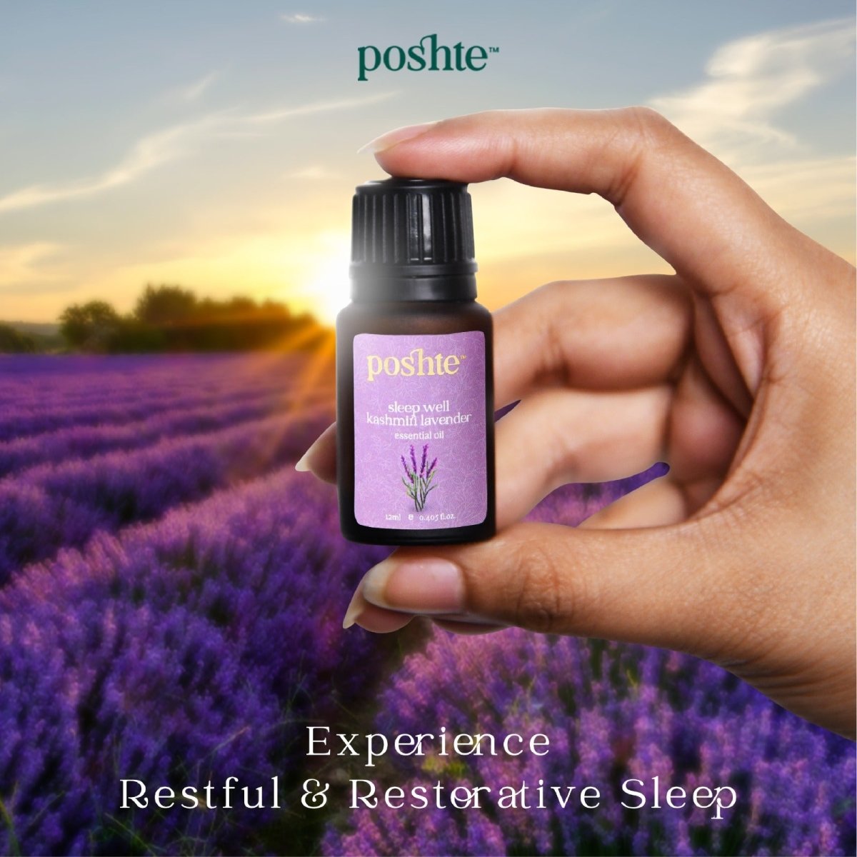 Sleep Well Kashmiri Lavender Essential Oil | Verified Sustainable by Brown Living™