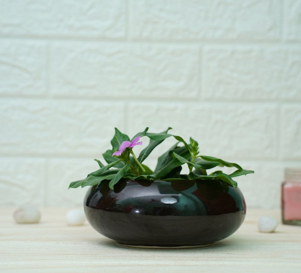Buy Small Ceramic Pots for Desk | Black | Shop Verified Sustainable Pots & Planters on Brown Living™