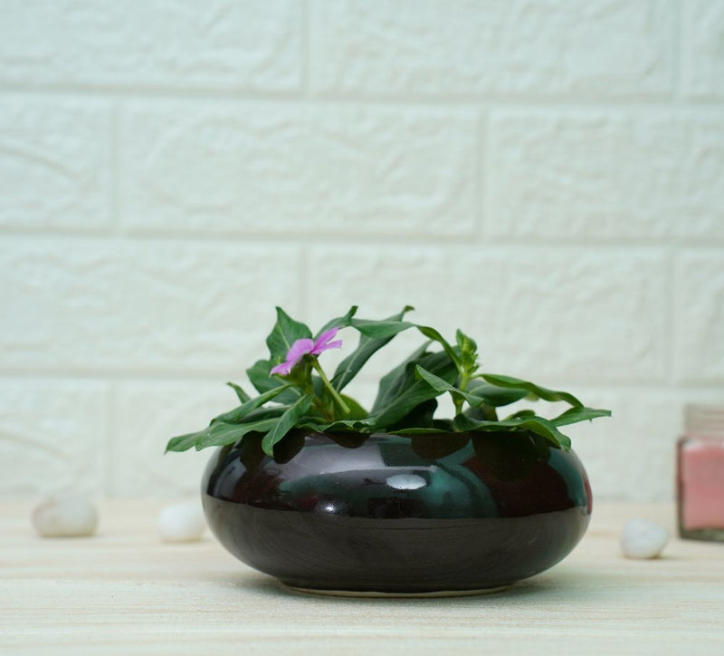Buy Small Ceramic Pots for Desk | Black | Shop Verified Sustainable Products on Brown Living