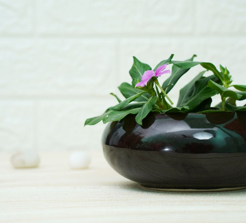 Buy Small Ceramic Pots for Desk | Green and Black | Shop Verified Sustainable Products on Brown Living