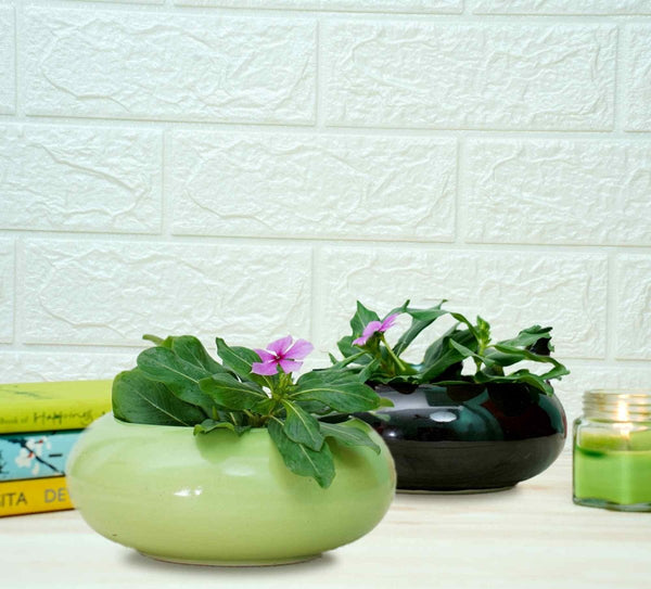 Buy Small Ceramic Pots for Desk | Green and Black | Shop Verified Sustainable Pots & Planters on Brown Living™