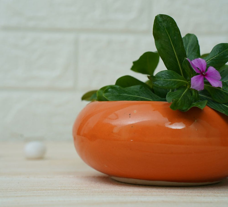 Buy Small Ceramic Pots for Desk | Orange | Shop Verified Sustainable Products on Brown Living