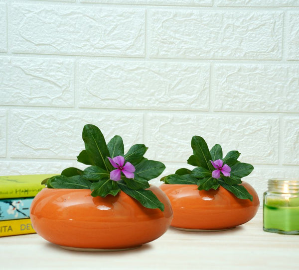 Buy Small Ceramic Pots for Desk | Orange | Shop Verified Sustainable Pots & Planters on Brown Living™