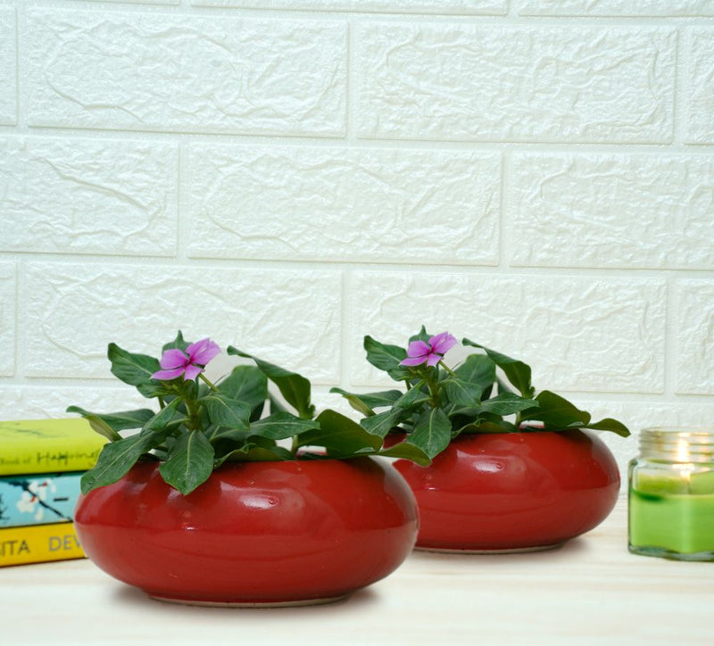 Buy Small Ceramic Pots for Desk | Red | Shop Verified Sustainable Products on Brown Living