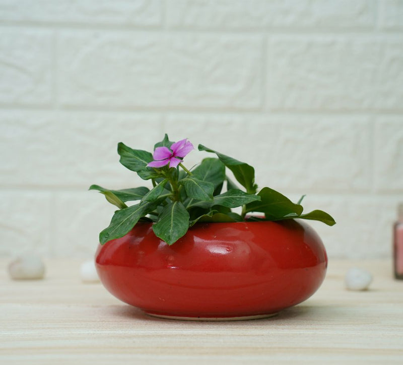 Buy Small Ceramic Pots for Desk | Red | Shop Verified Sustainable Pots & Planters on Brown Living™