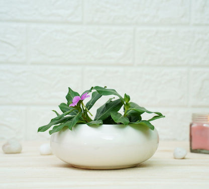 Small Ceramic Pots for Desk | White | Verified Sustainable by Brown Living™