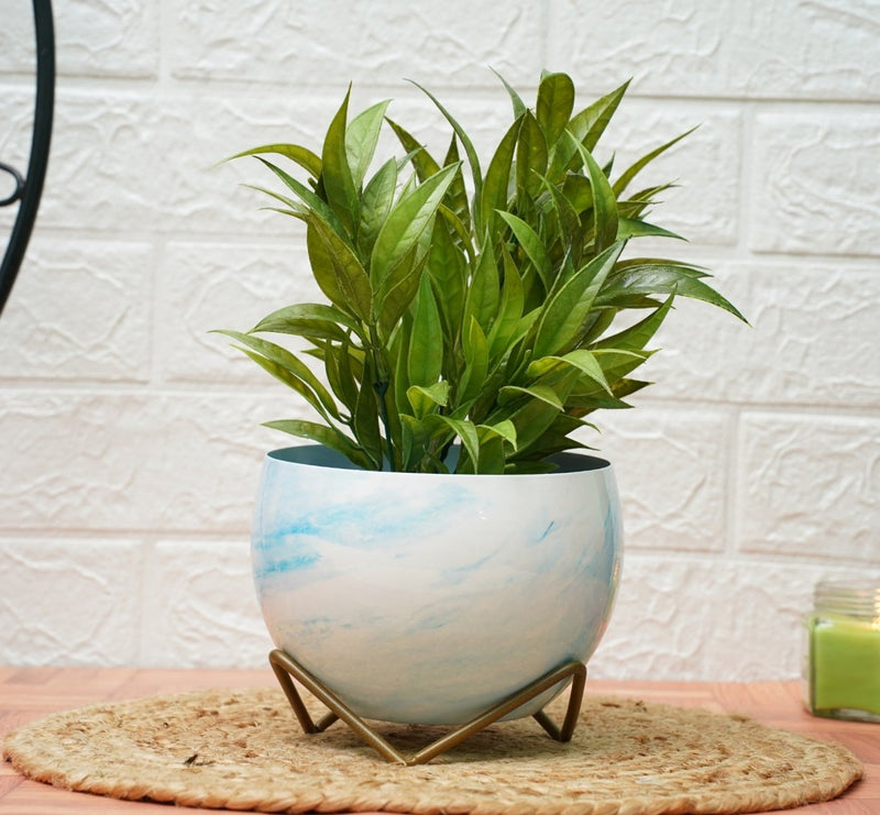Buy Small Pot for Indoor Plants (Marble White, Pack of 1) | Shop Verified Sustainable Pots & Planters on Brown Living™