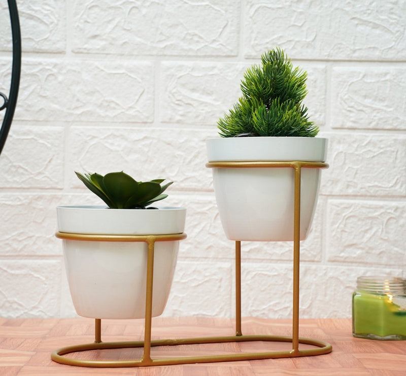 Buy Small Pot for Indoor Plants (White Double Planter) | Shop Verified Sustainable Products on Brown Living