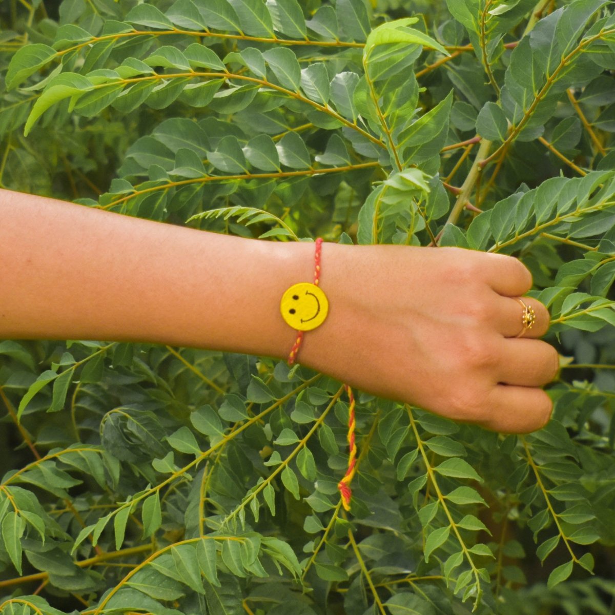 Smile Please Plantable Seed Rakhi Box | 2 Seed Rakhis | Verified Sustainable by Brown Living™