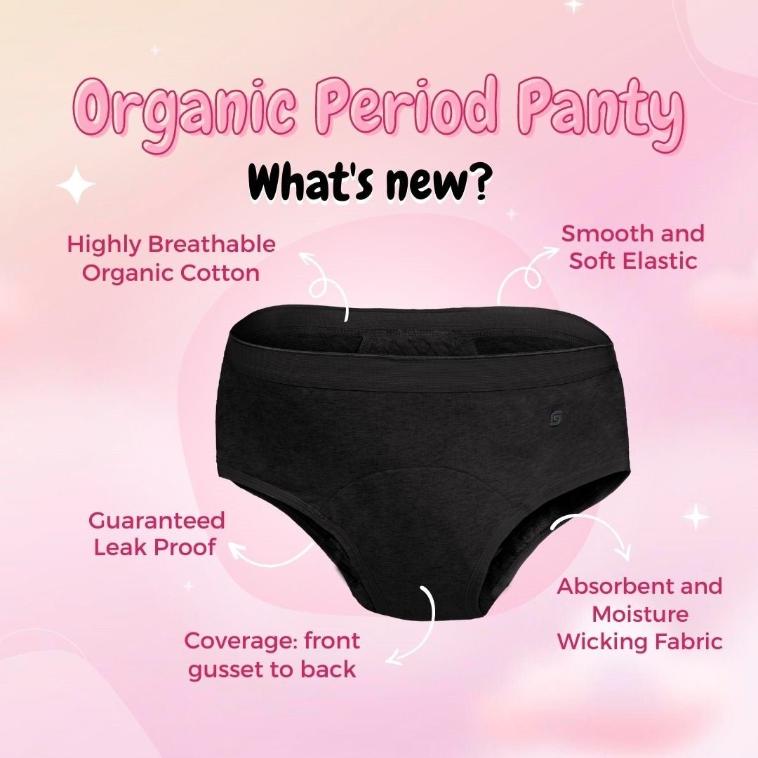 Organic Reusable/Washable/Leakproof/Absorbent Period Panty (Hipster) | Verified Sustainable by Brown Living™