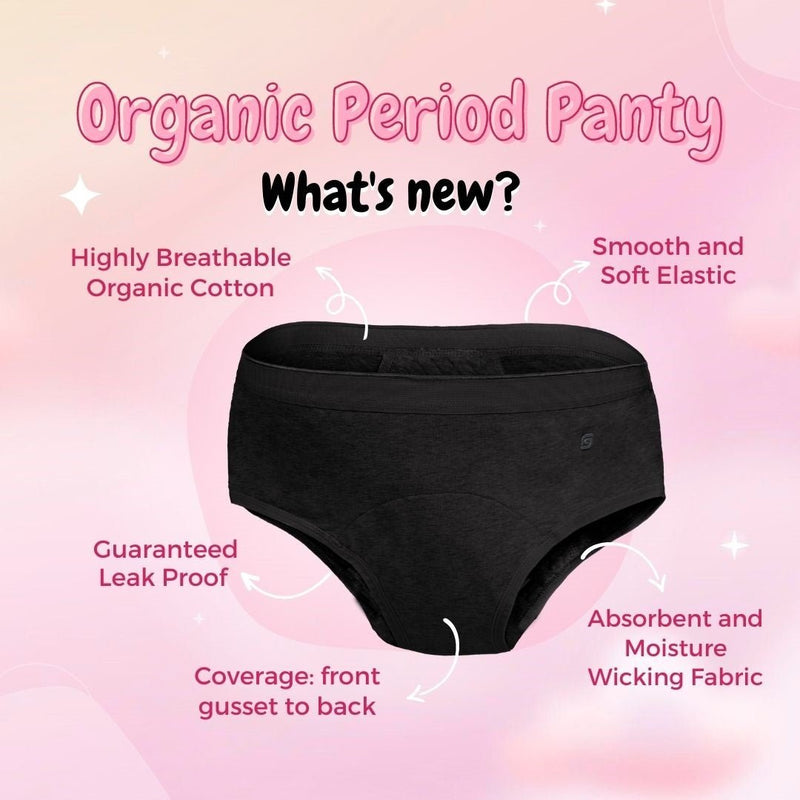 Buy Organic Reusable/Washable/Leakproof/Absorbent Period Panty (Hipster) | Shop Verified Sustainable Womens Underwear on Brown Living™