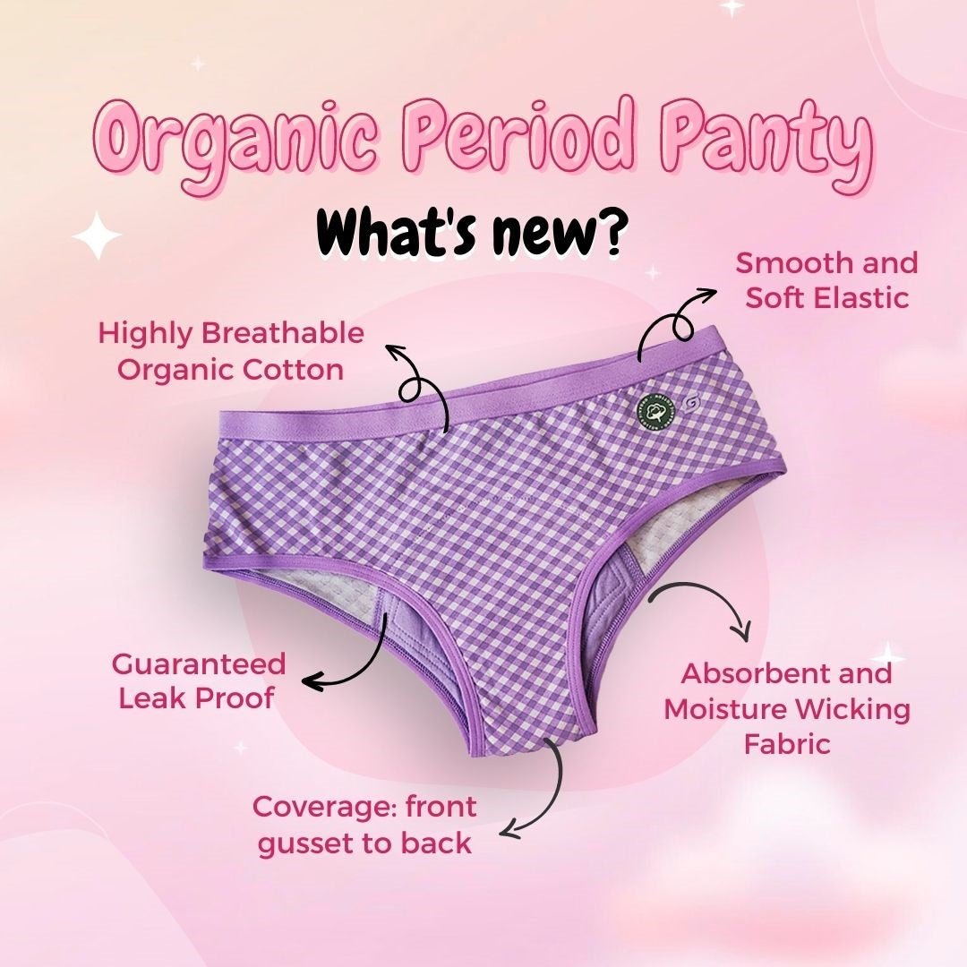 Organic Reusable/Washable/Leakproof/Absorbent Period Panty (Hipster) | Verified Sustainable by Brown Living™