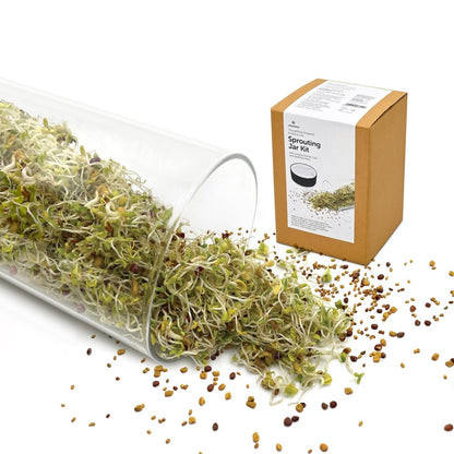 Sprouting Jar DIY Kit - Strainer Cap & Seed Mix Pack | Verified Sustainable by Brown Living™