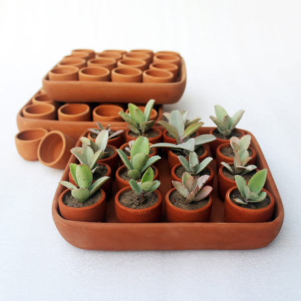 Buy Square Plantation Germition Kit- Set of 50 Small pots | Shop Verified Sustainable Pots & Planters on Brown Living™