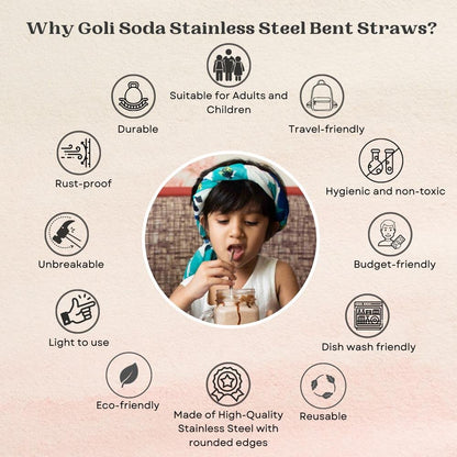 Stainless Steel Bent Drinking Straws - Set of 10 | Verified Sustainable by Brown Living™