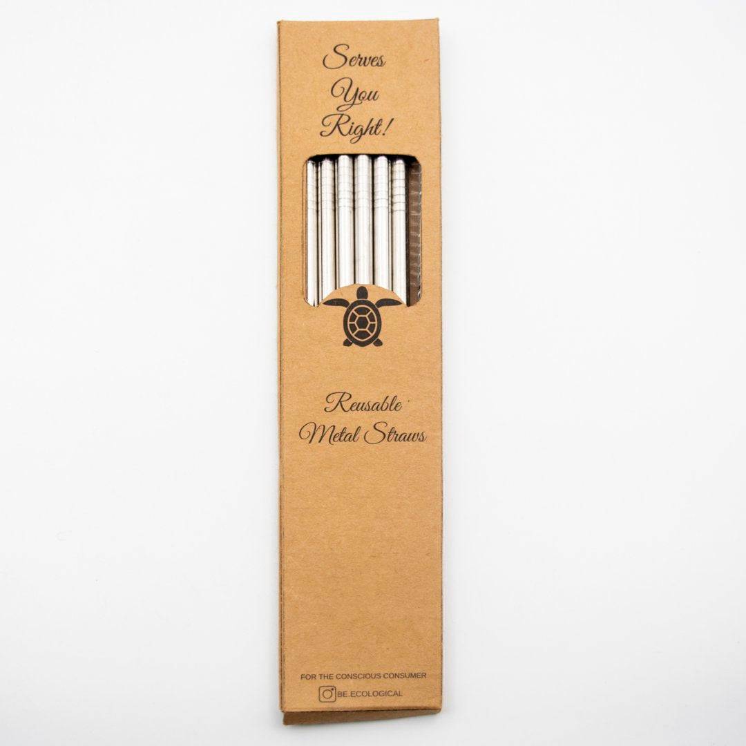 Steel Straws - Party Pack | 6 straws + cleaner | Verified Sustainable by Brown Living™