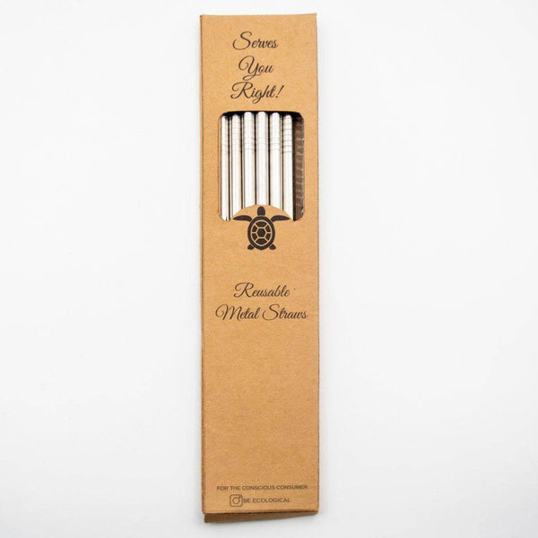 Buy Steel Straws - Party Pack | 6 straws + cleaner | Shop Verified Sustainable Straw on Brown Living™