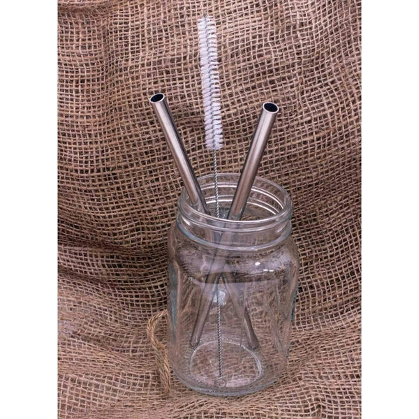 Buy Steel Straws - Set of 2 + Cleaner | Shop Verified Sustainable Straw on Brown Living™