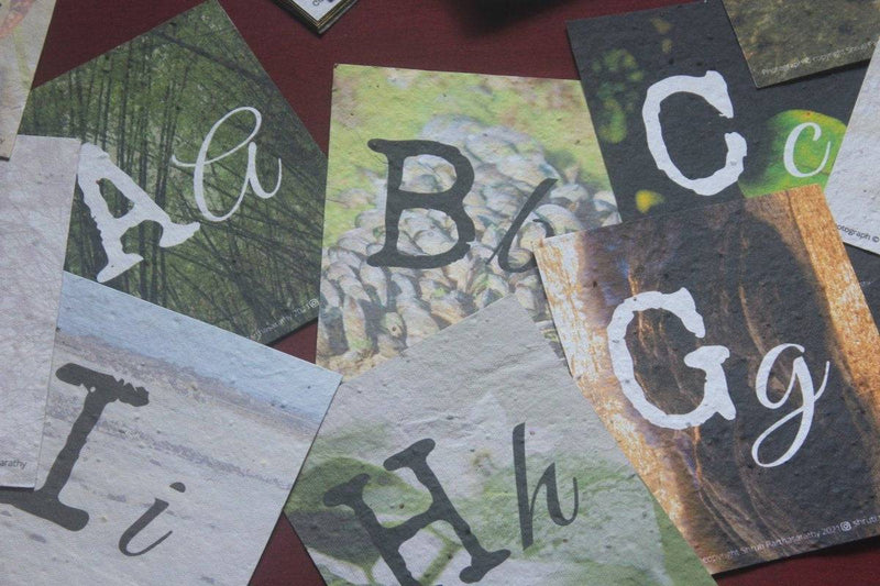 Buy Sustainability ABCs | Vocabulary & Activity Cards made with Seed Paper | Shop Verified Sustainable Sports & Games on Brown Living™