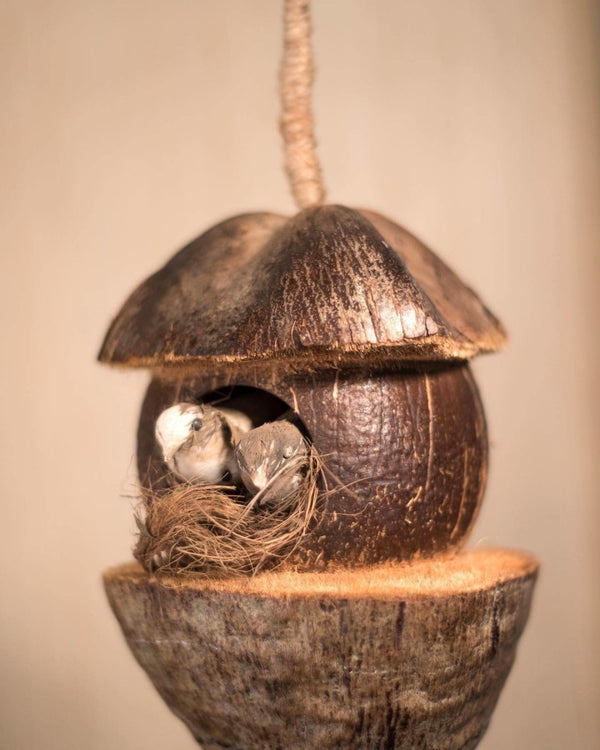 Buy Tanya Coconut Bird Feeder | Shop Verified Sustainable Products on Brown Living
